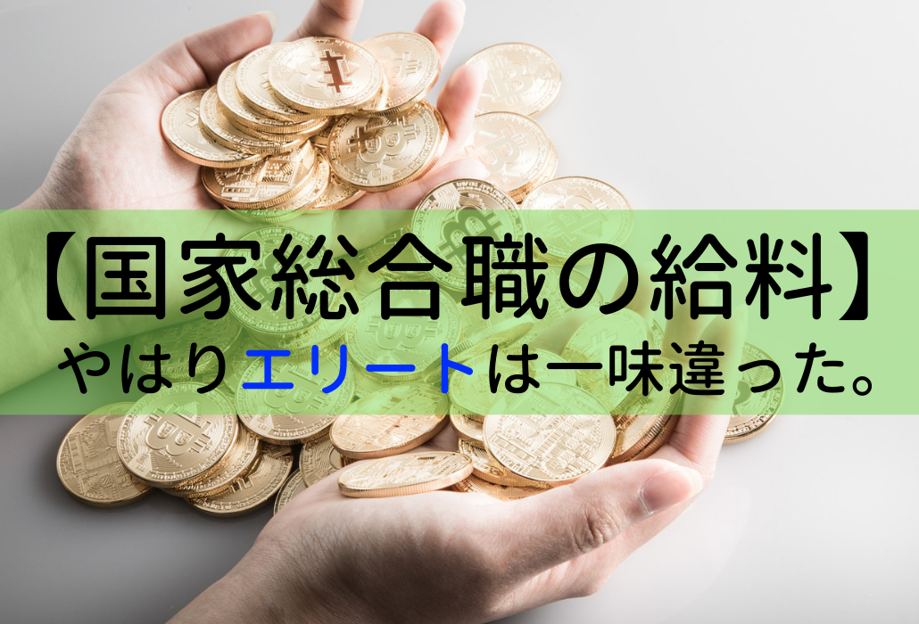 国家公務員の年収 エリートの 給与明細 が見たいか 国家総合職について本気でまとめてみた せんせいの独学公務員塾